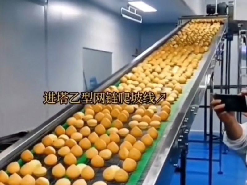 網鏈輸送機